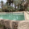 la-maison-de-nana-vue-figuig-maroc-bassin-d-eau-jardin.jpg