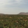 la-maison-de-nana-vue-figuig-maroc-vue-de-haut-pano2.jpg